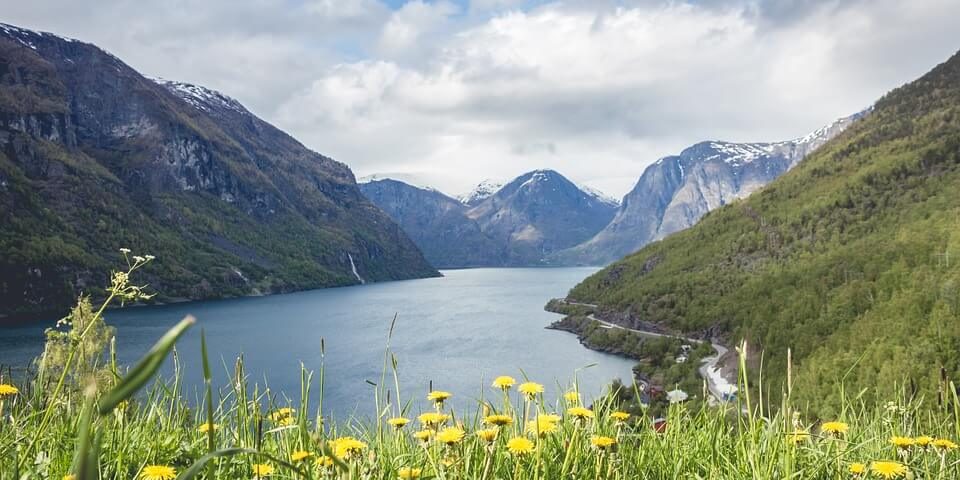 Sunflowers, lake and hills beyond