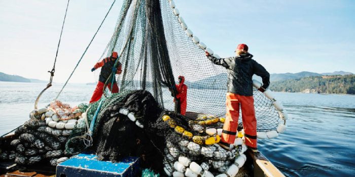 Fishing-Boat Smart Shipping strategies