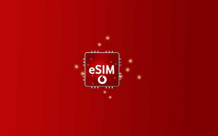 eSIM header