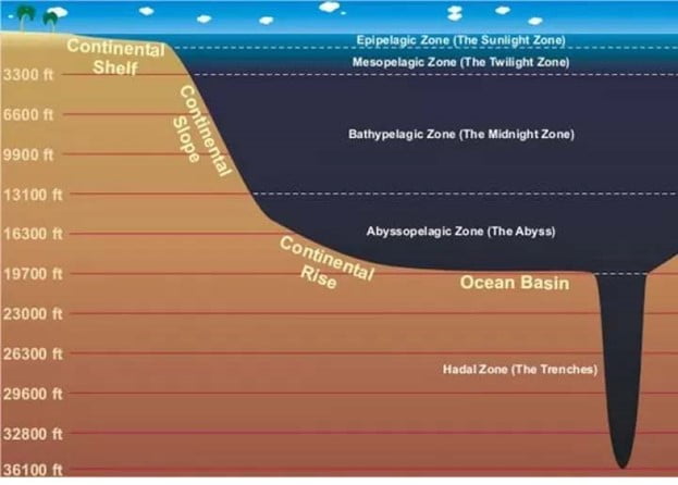 The National Oceanic And Atmospheric Administration illustration showing ocean area